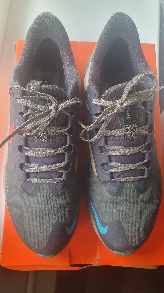 Кроссовки Nike  pegasus 39 shield