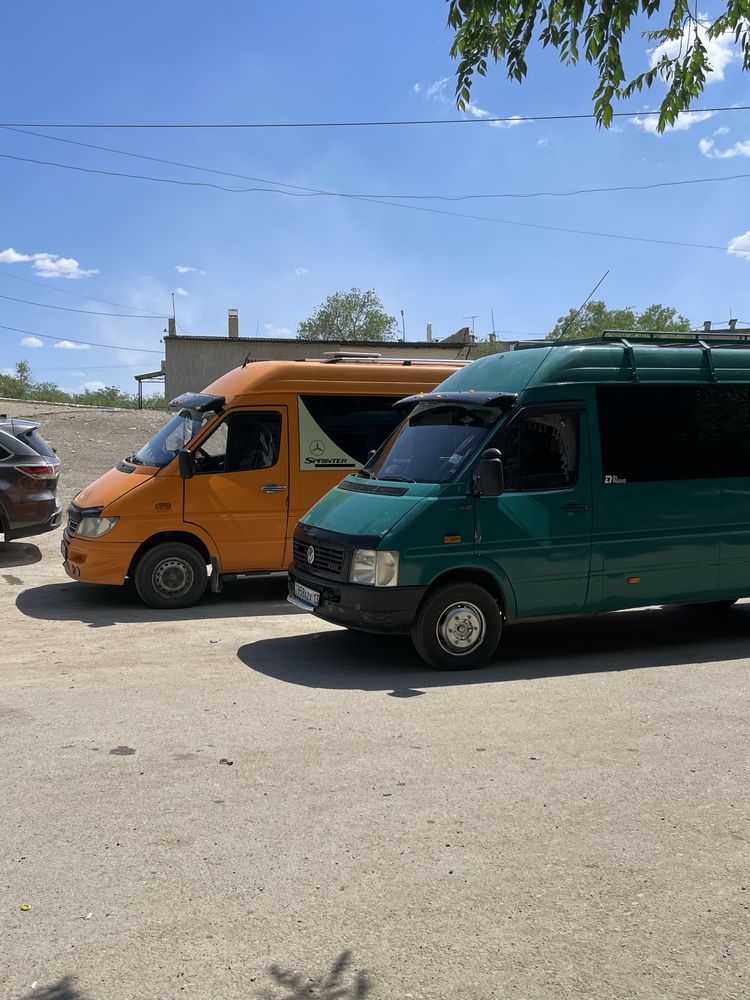 Спринтер Сатамын