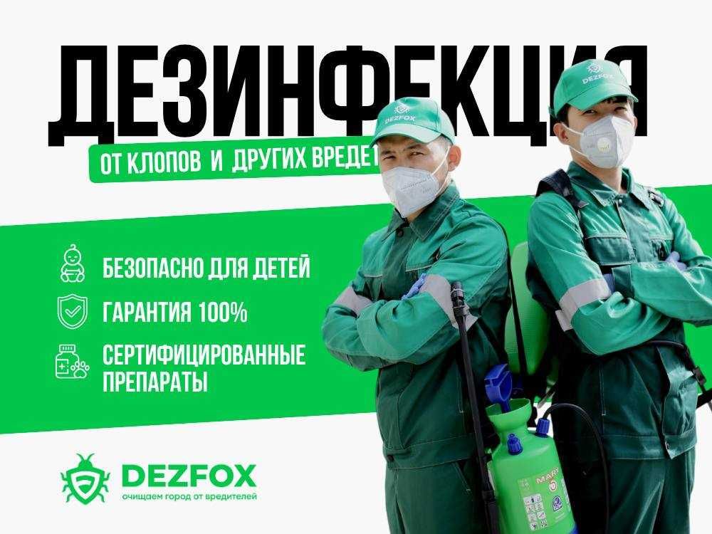Дезинфекция Санитарная Обработка Квартиры Помещение От Мышей Крыс Блох