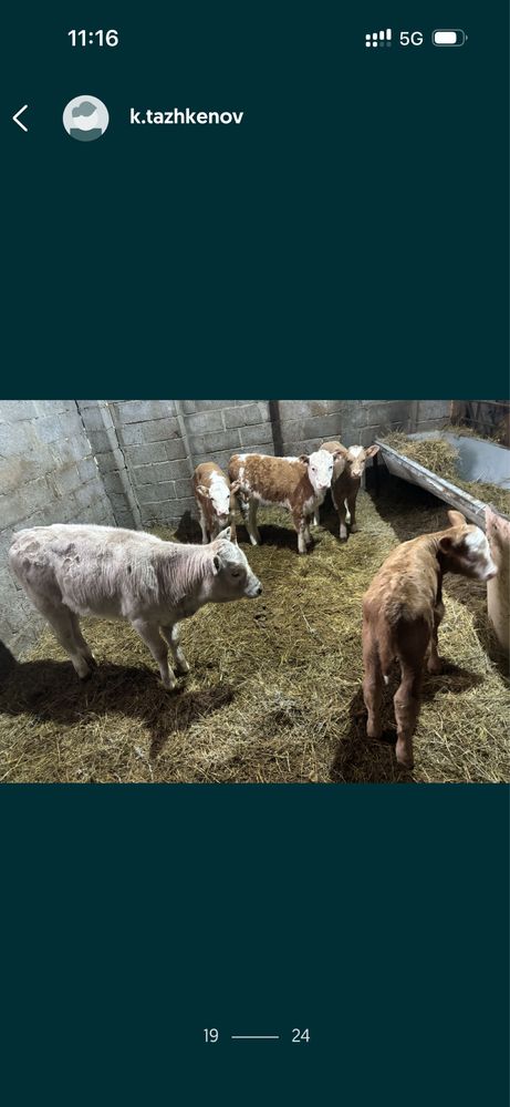 Срочно продам или сдам в аренду базу с земельным участком