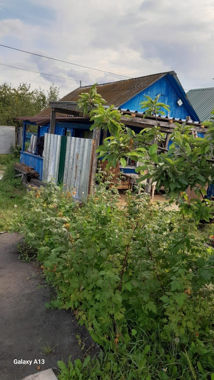 Продаётся дача новопаловка садовое общество барки.