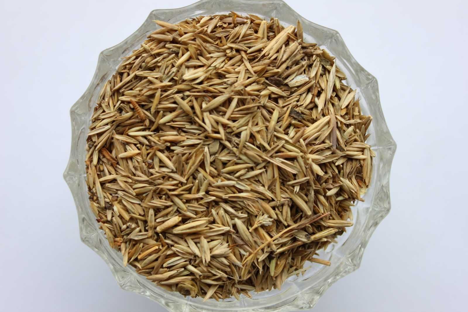 Житняк, суданка, кострец, люцерна, эспарцет, донник