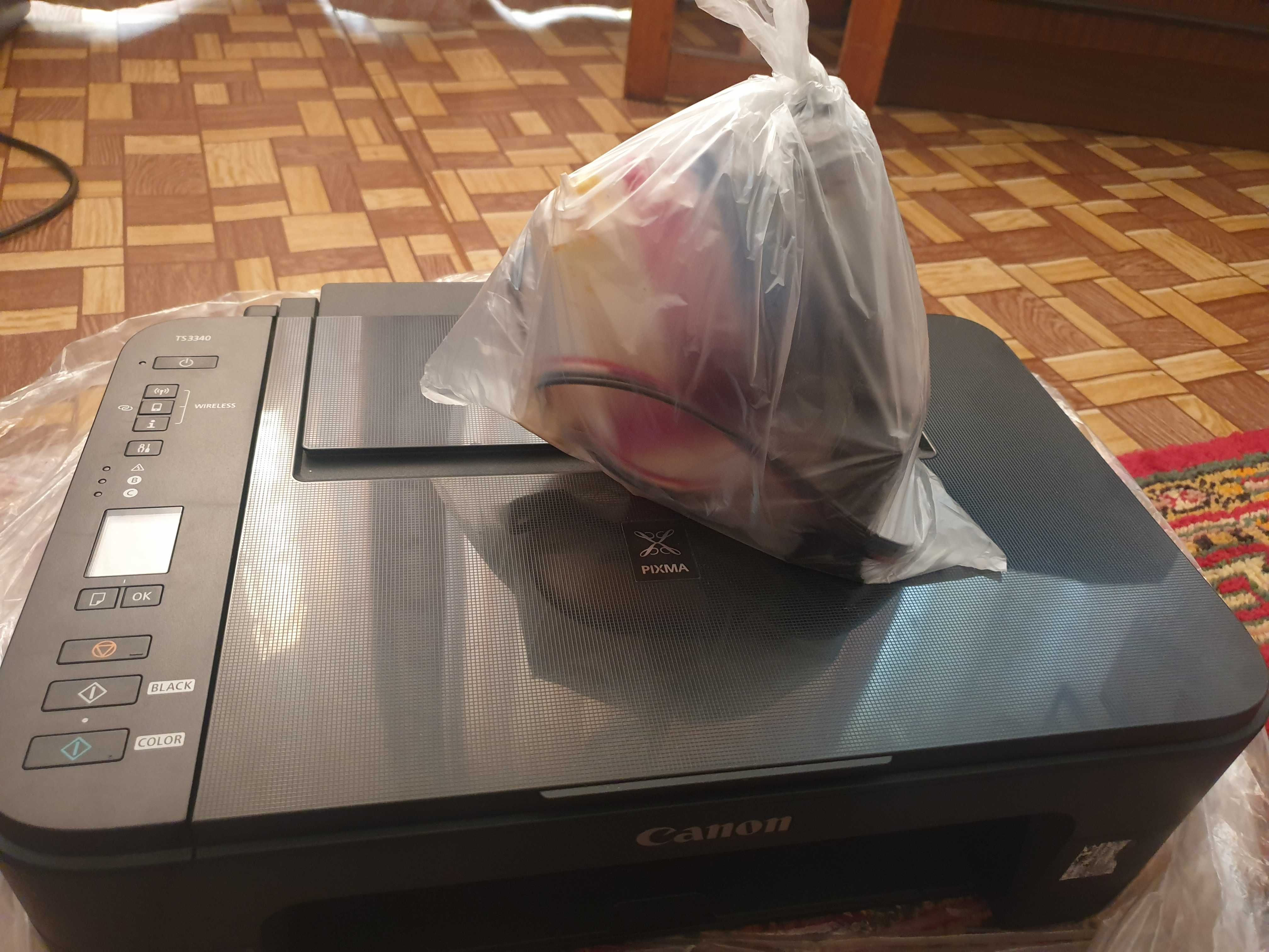 Принтер Canon Pixma TS3340