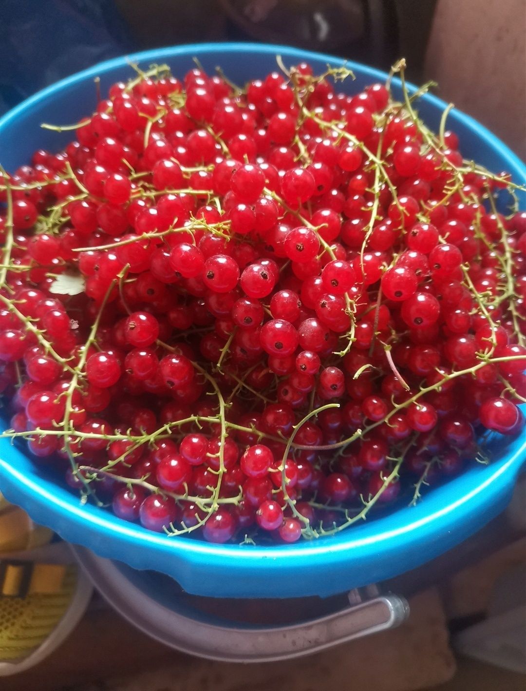 Продам дом Пришахтинск