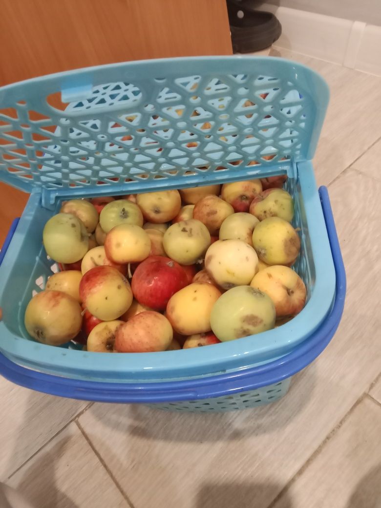 Продам вкусные сочные яблоки