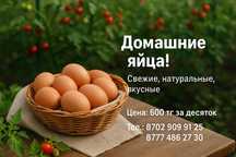 Свежие домашние яйца