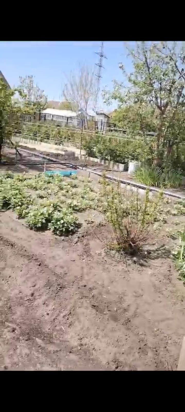Продам дачу. Текстильщик 1