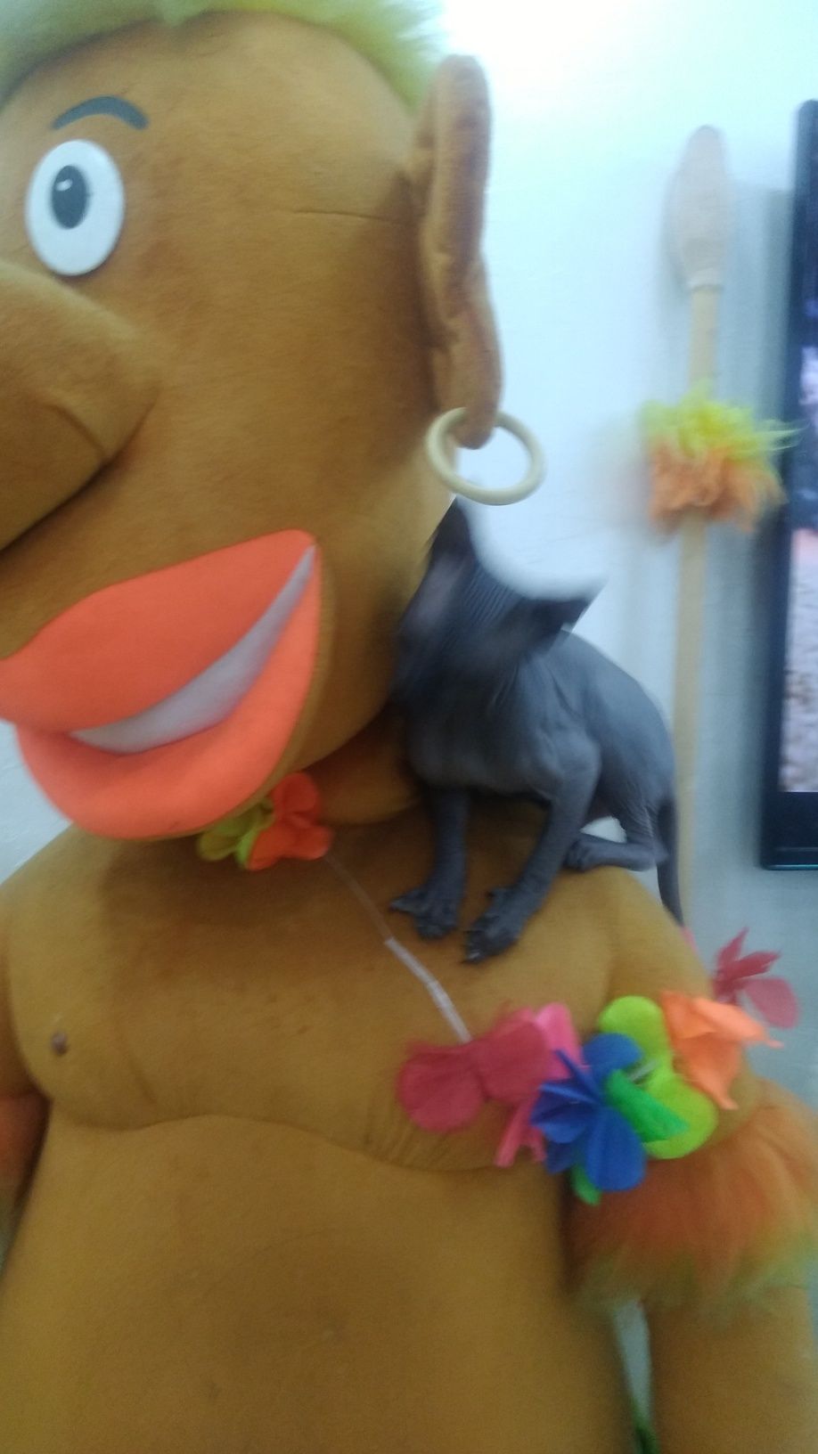 Когтеточка для кошек. Игрушка.