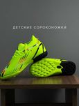 Сороконожки детские