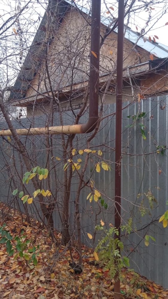 Срочно продам дачу с домом