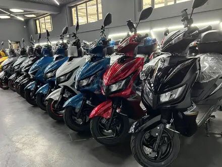 Продажа новых мопедов по доступным ценам