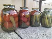 Продам домашнюю салонину