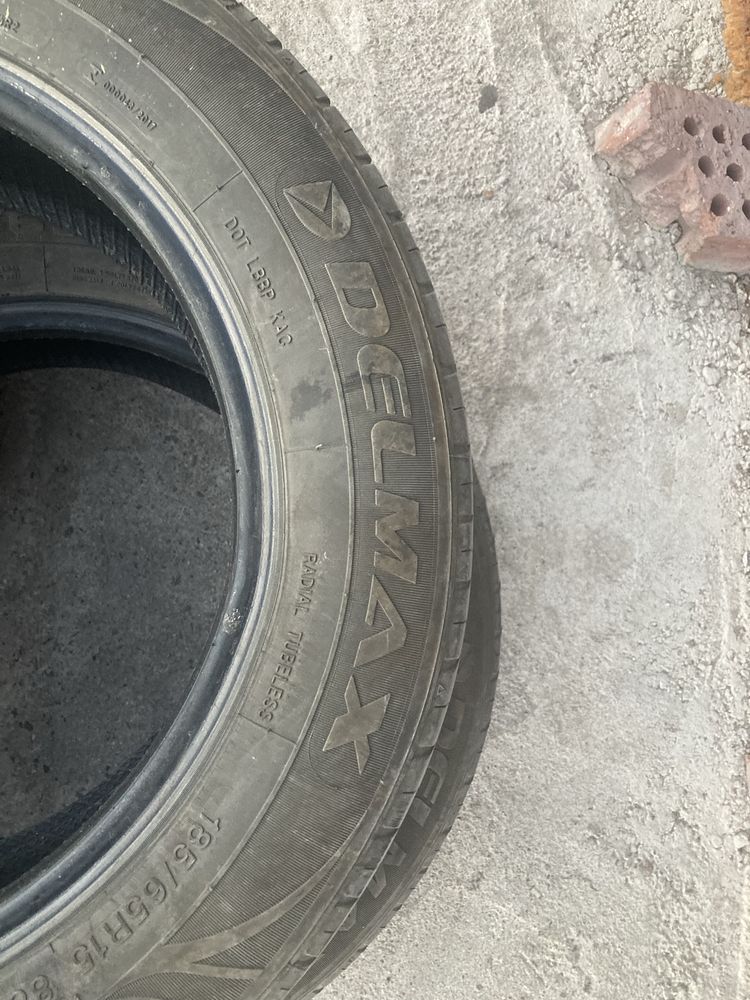 Продам два болона