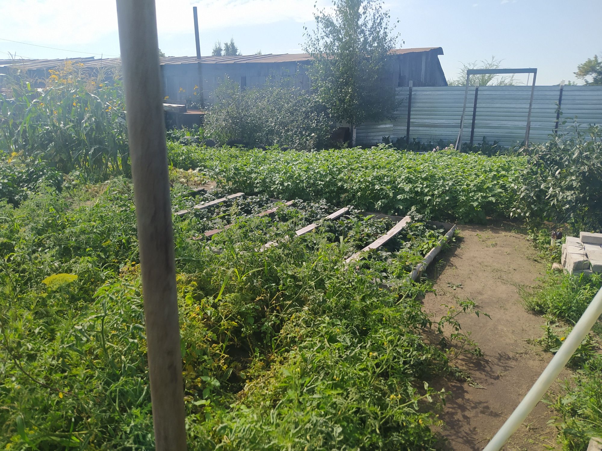 продам  продам дом