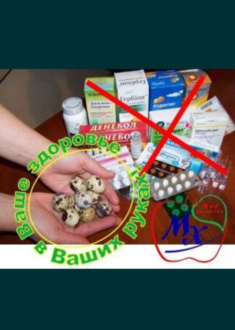 Емге бөдене еті. Мяса перепелов