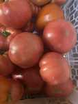 Продам домашние помтдоры  крупные