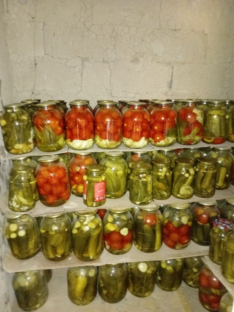 Гүлзада Тойлыбайева