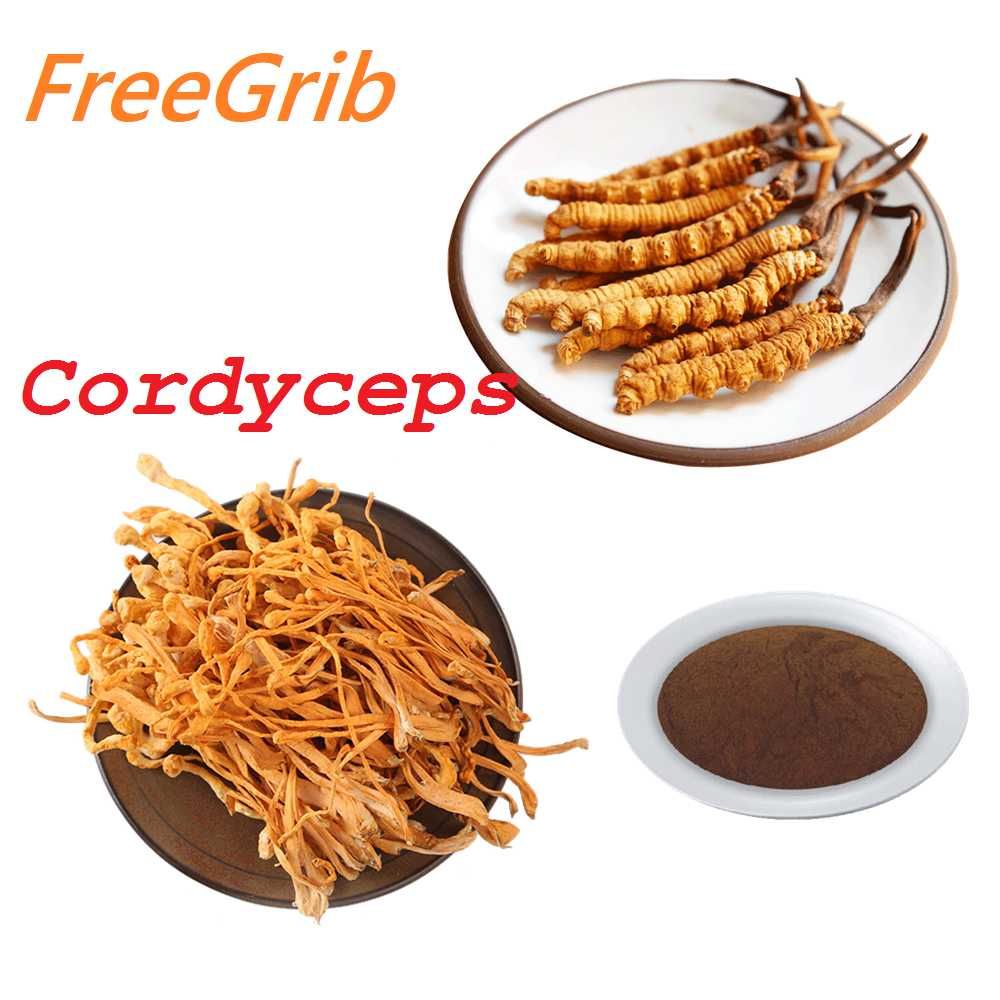 Кордицепс Cordyceps FreeGrib 100% Собственное производство