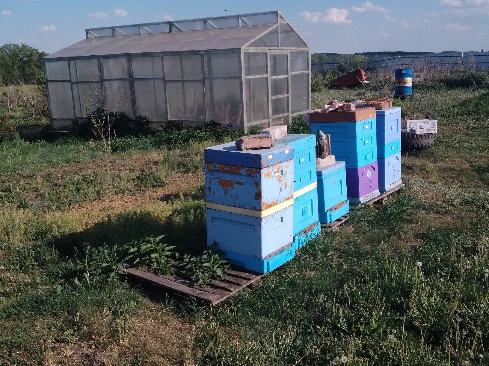 Продам свежий мед разнотравие