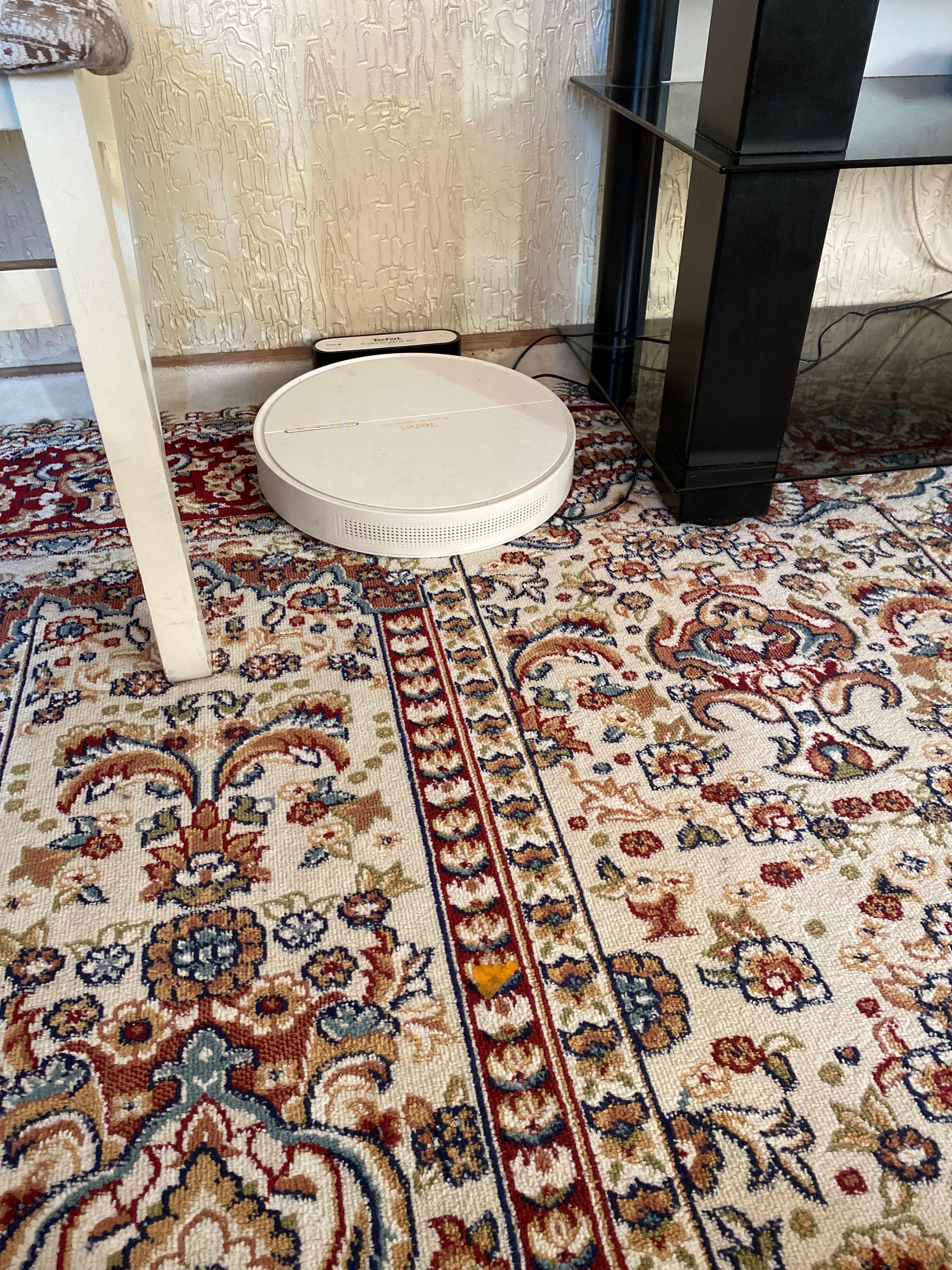 Tefal X-plorer serie 60