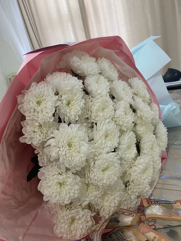 Продам цветы дешево
