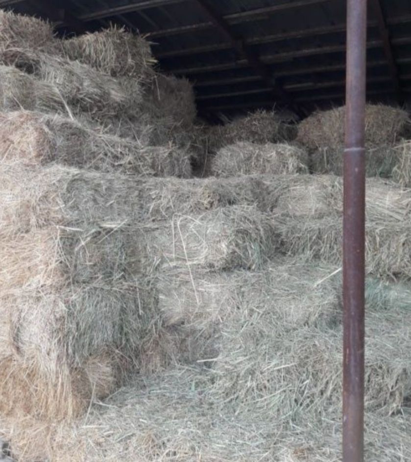 Продам сено отличное разнотравье