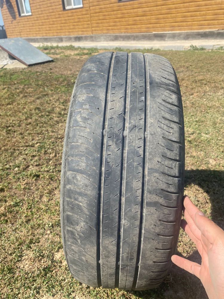 Dunlop летний шиналар сатылады 205/55 r16