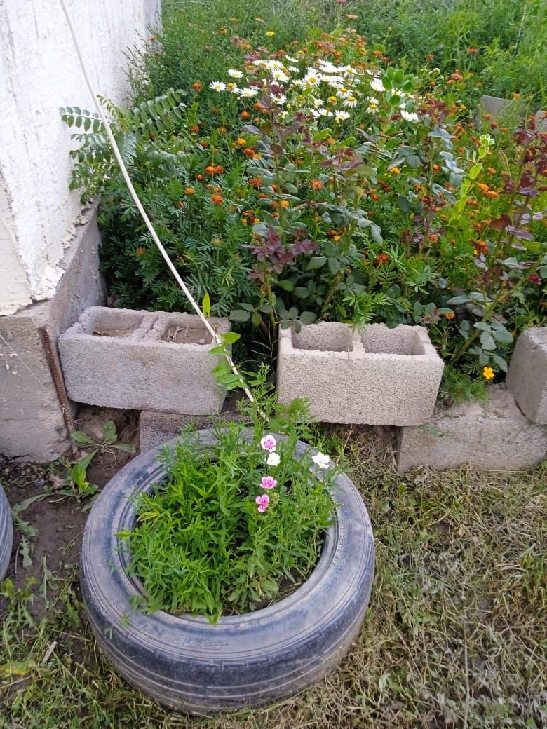 Продам дом в Ащибулаке