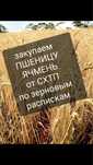 Пшеница, ячмень самовывоз
