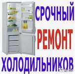 Ремонт холодильников с гарантией качества по самой низкой цене в город