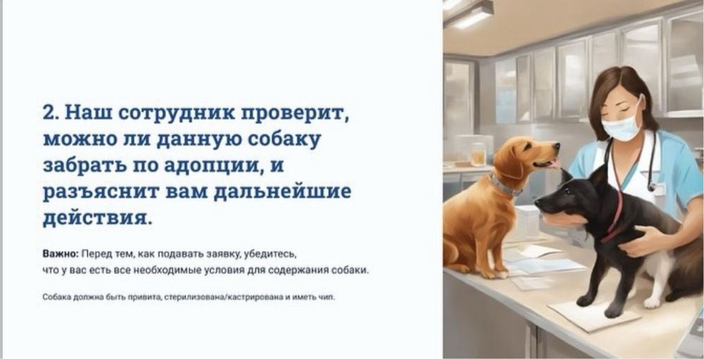 Найдены животные в отлове.