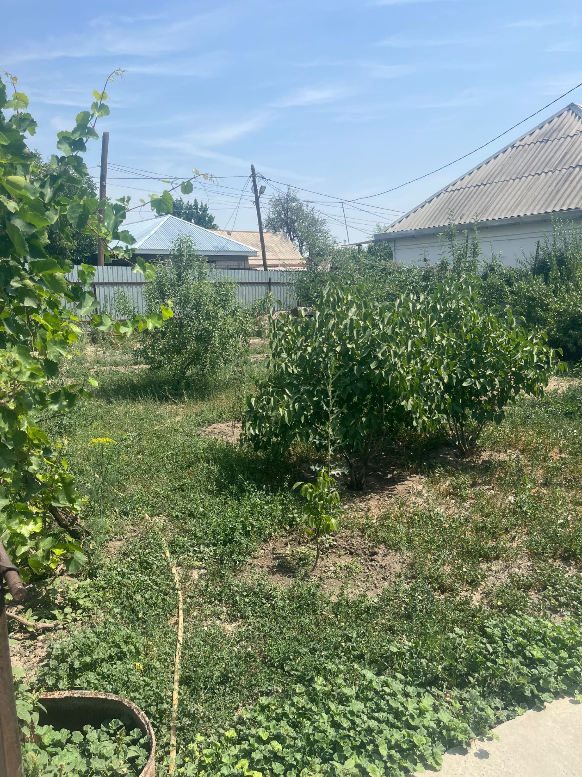 Продам. Варианты