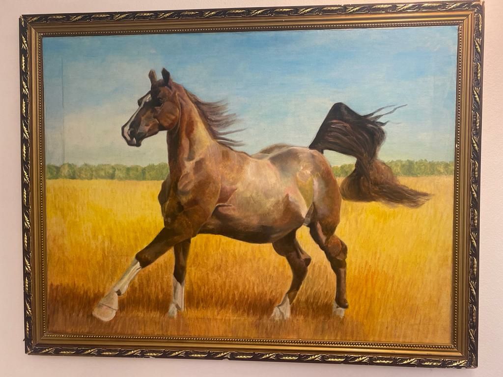 Картина лошадь     ,