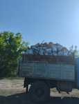 Продам дрова чурками колотые