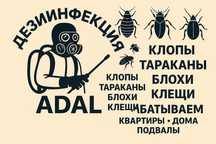 Дезинфекция дератизация дезинсекция