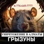 ‼️Обработка‼️ мышей крыс таракан блох клопов кандала Есик