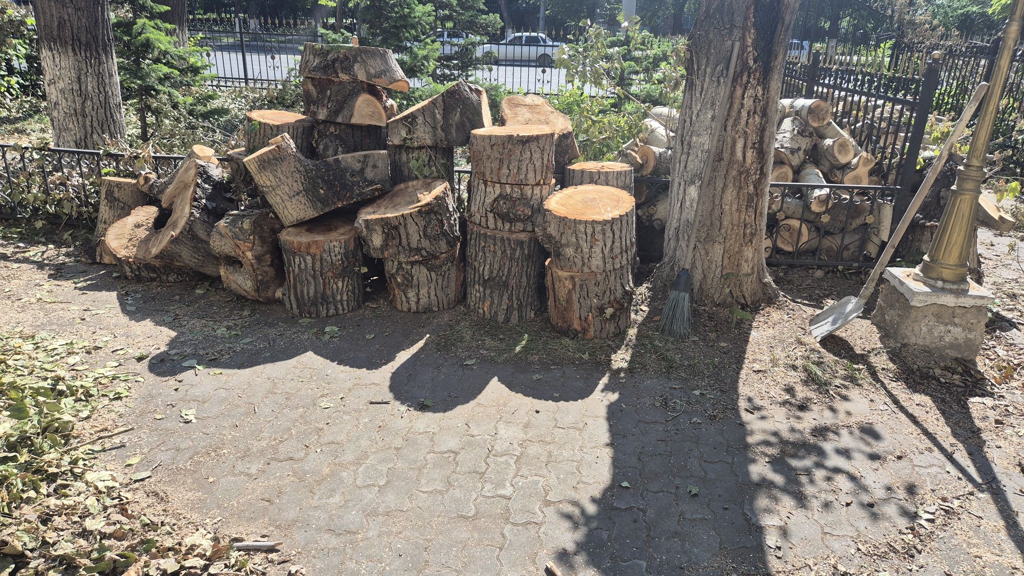 Продам дрова в чурках