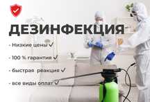 Дезинфекция клопов и тараканов Дизинфекция , Дезенфекция