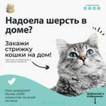 Надоела шерсть в доме и на одежде? | Груминг выезд в течении 30 минут