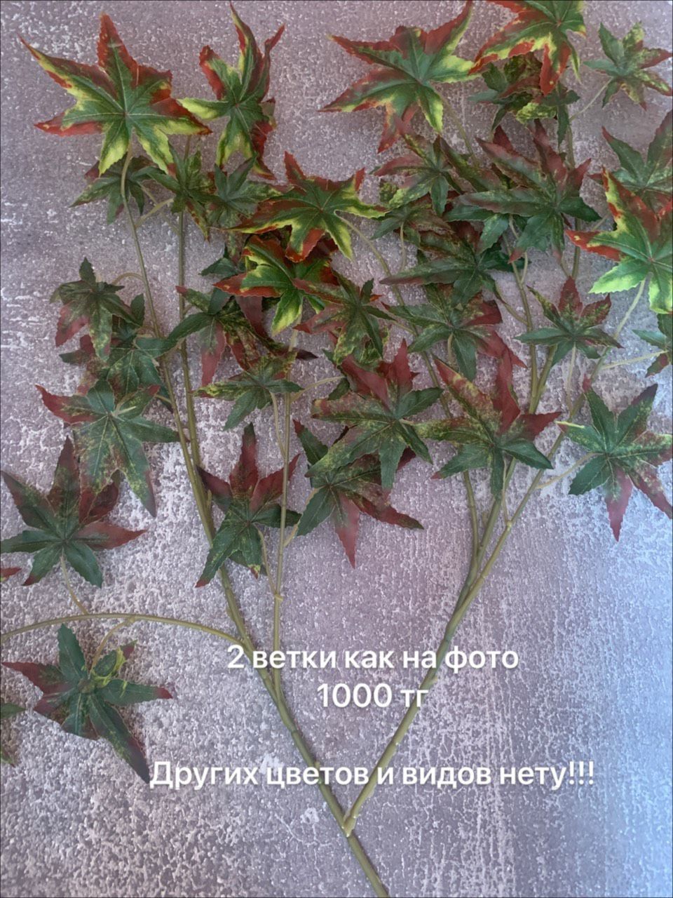 Осенние листья зелёные