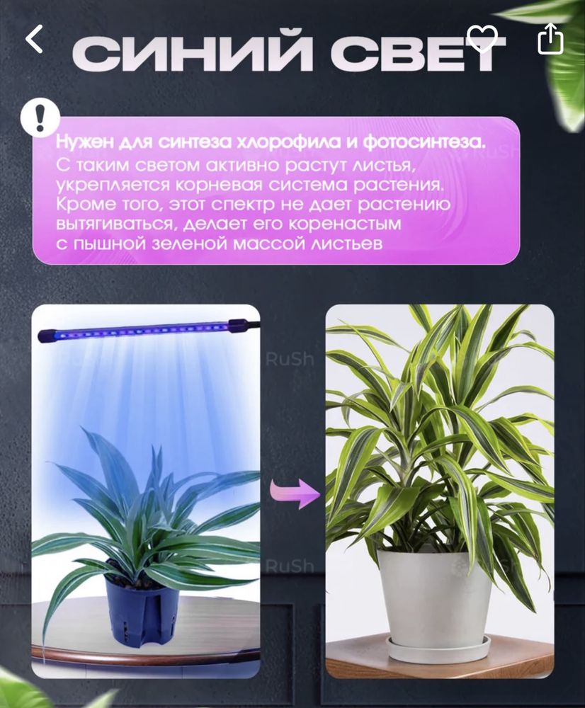 Продам Фито лампу