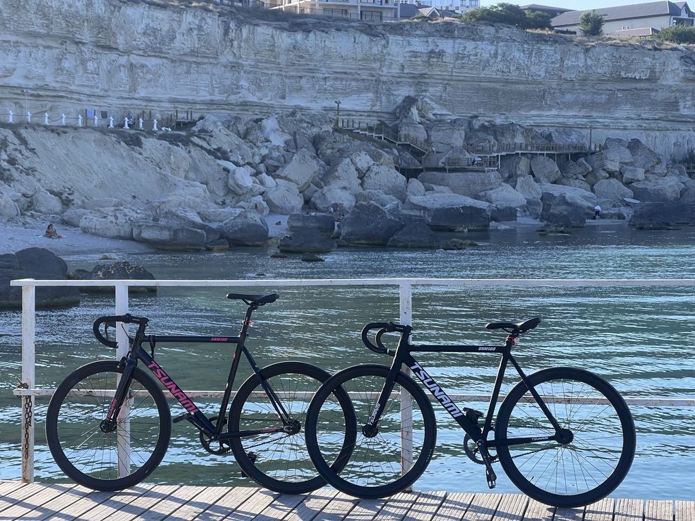 Fixed gear Tsunami SNM100