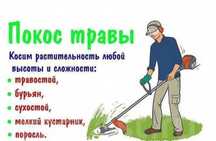 шоп ору жылдам ары тез багасын келысемыз