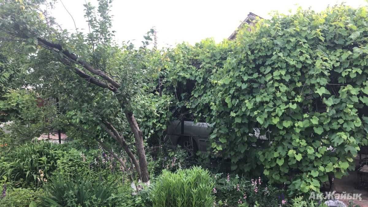 Дача 14 соток дом