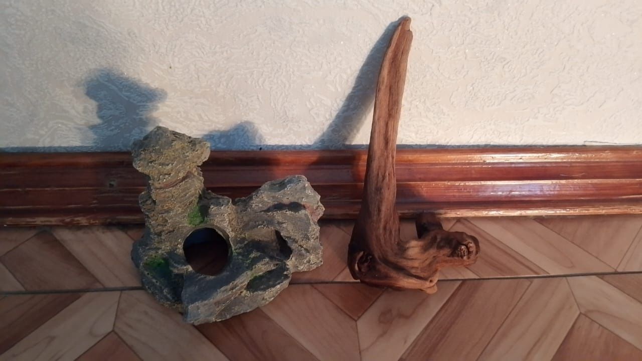 Продам декоративные камни ракушки для аквариума