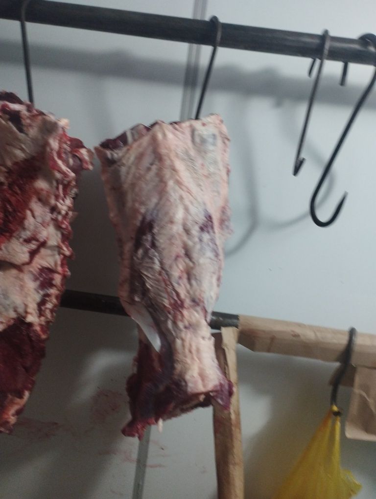 Задние ляжки говядина короткое ребро говядина баранина