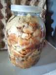 Продам грибы подтапольники