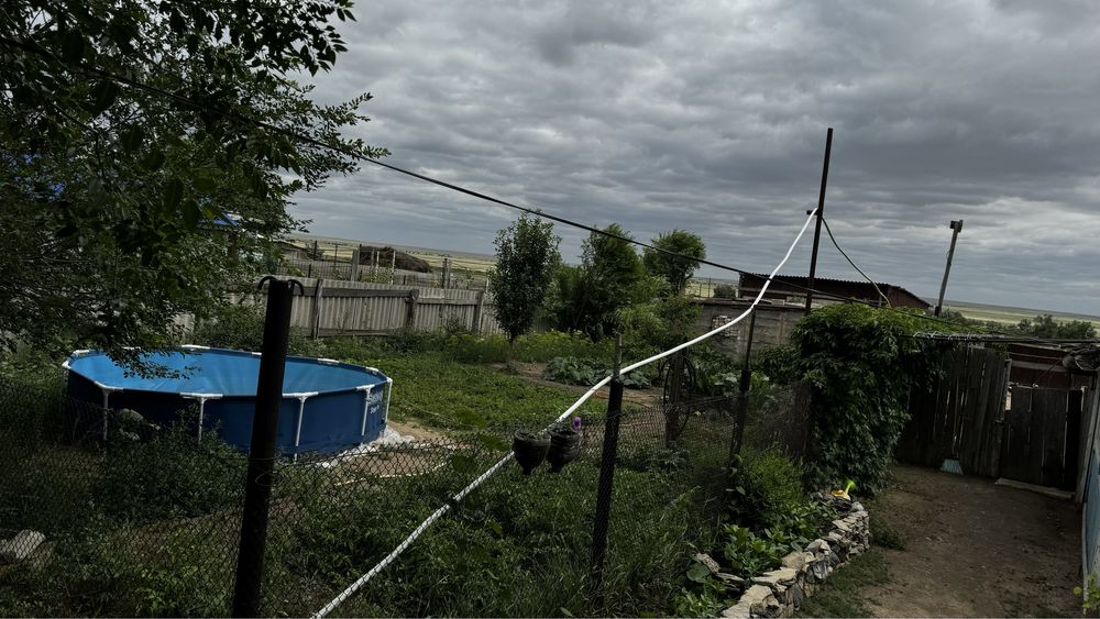 Крестьянское хозяйство со скотом