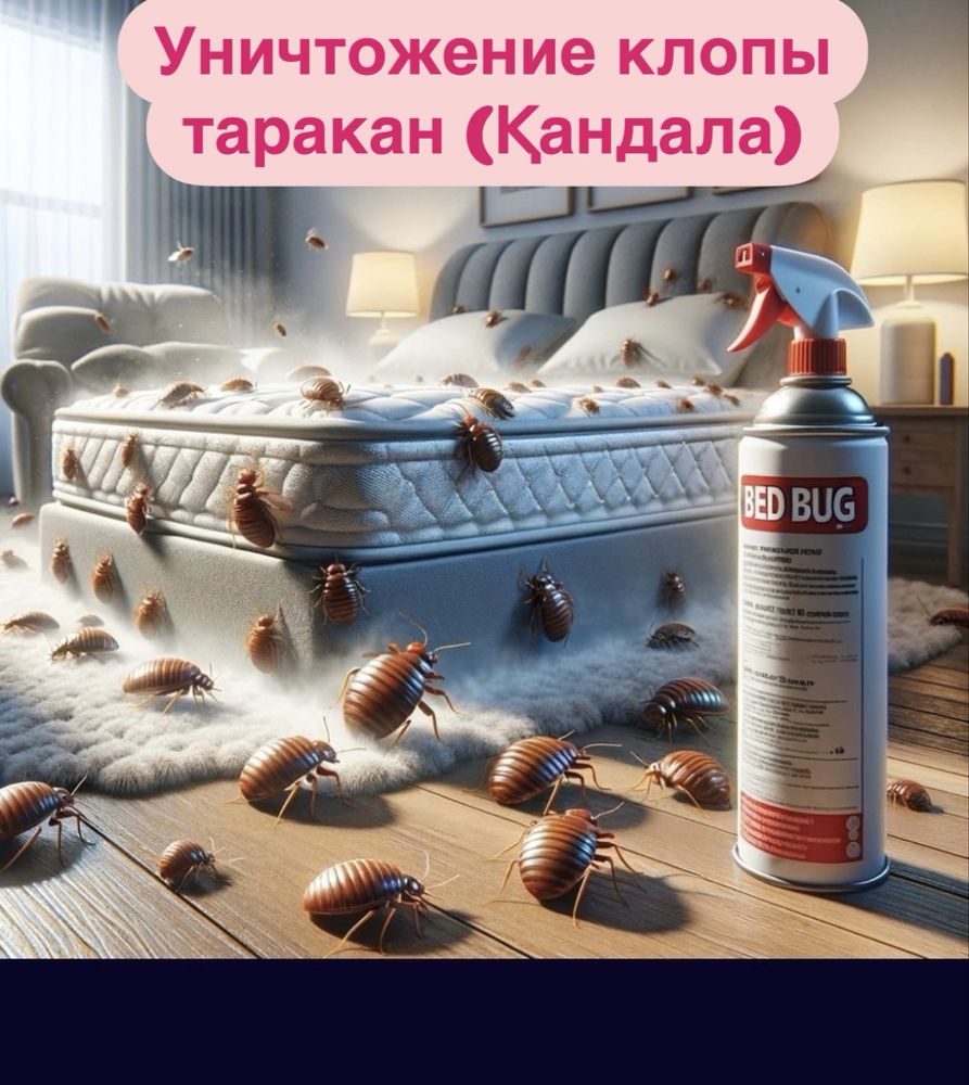 Дезинфекция уничтожение насекомых клопы таракан в городе Шымкент
