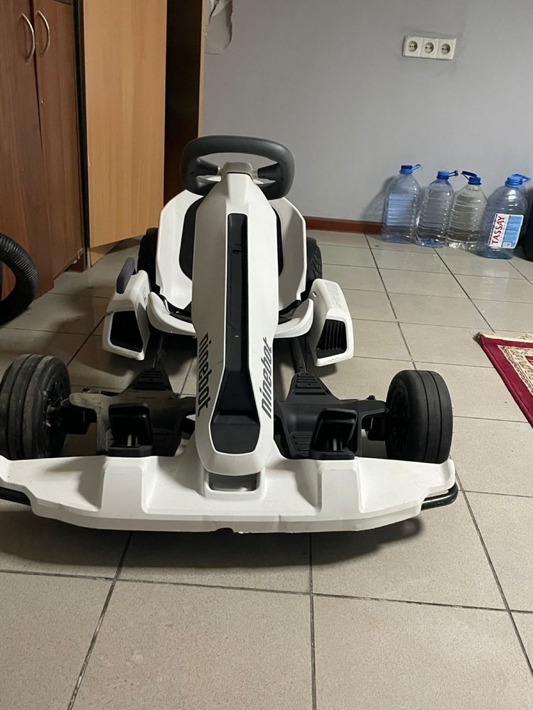 Ninebot электоркарт